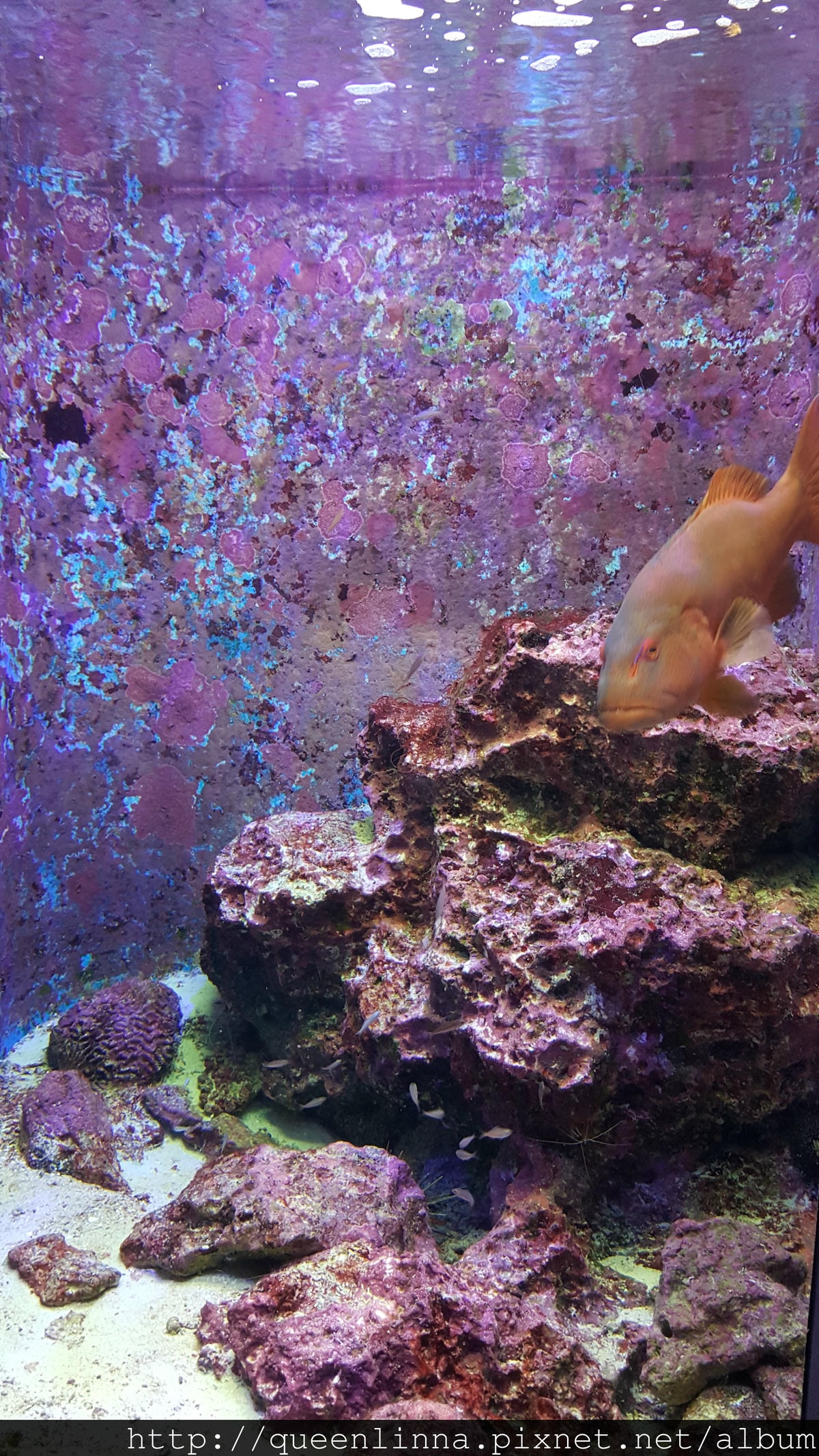 20150918_124857.jpg 20150918_124857.jpg