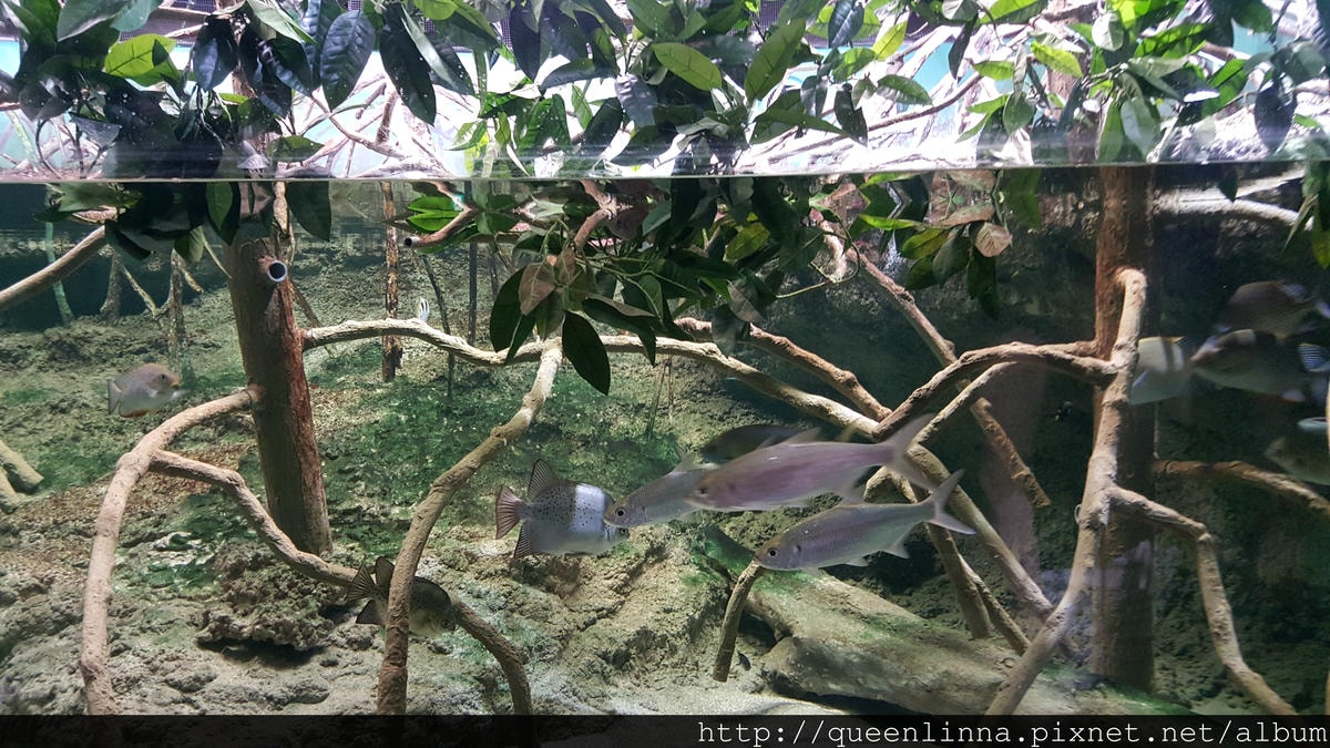 20150918_124740.jpg 20150918_124740.jpg