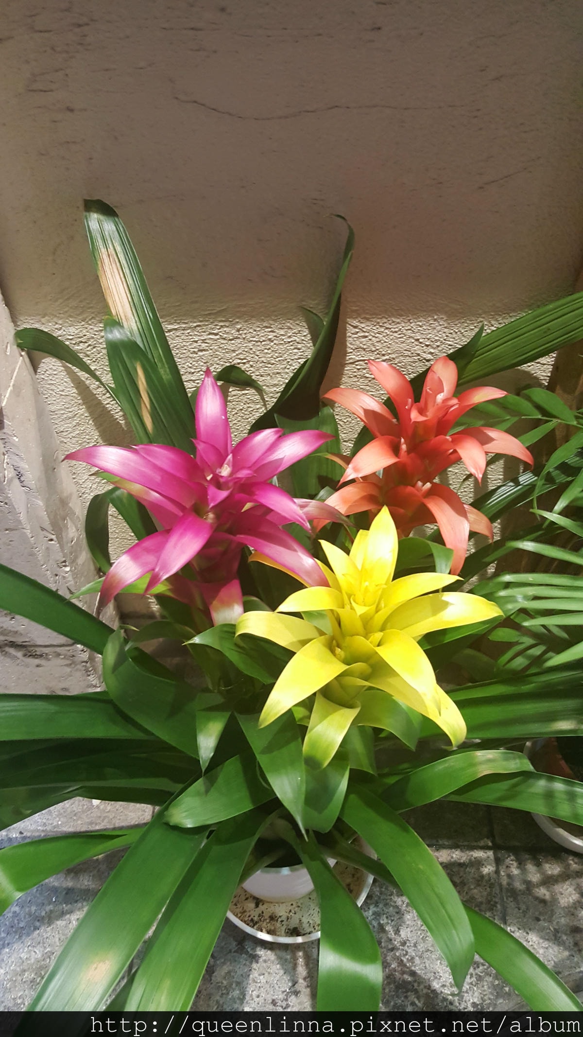 20150917_205748.jpg 20150917_205748.jpg