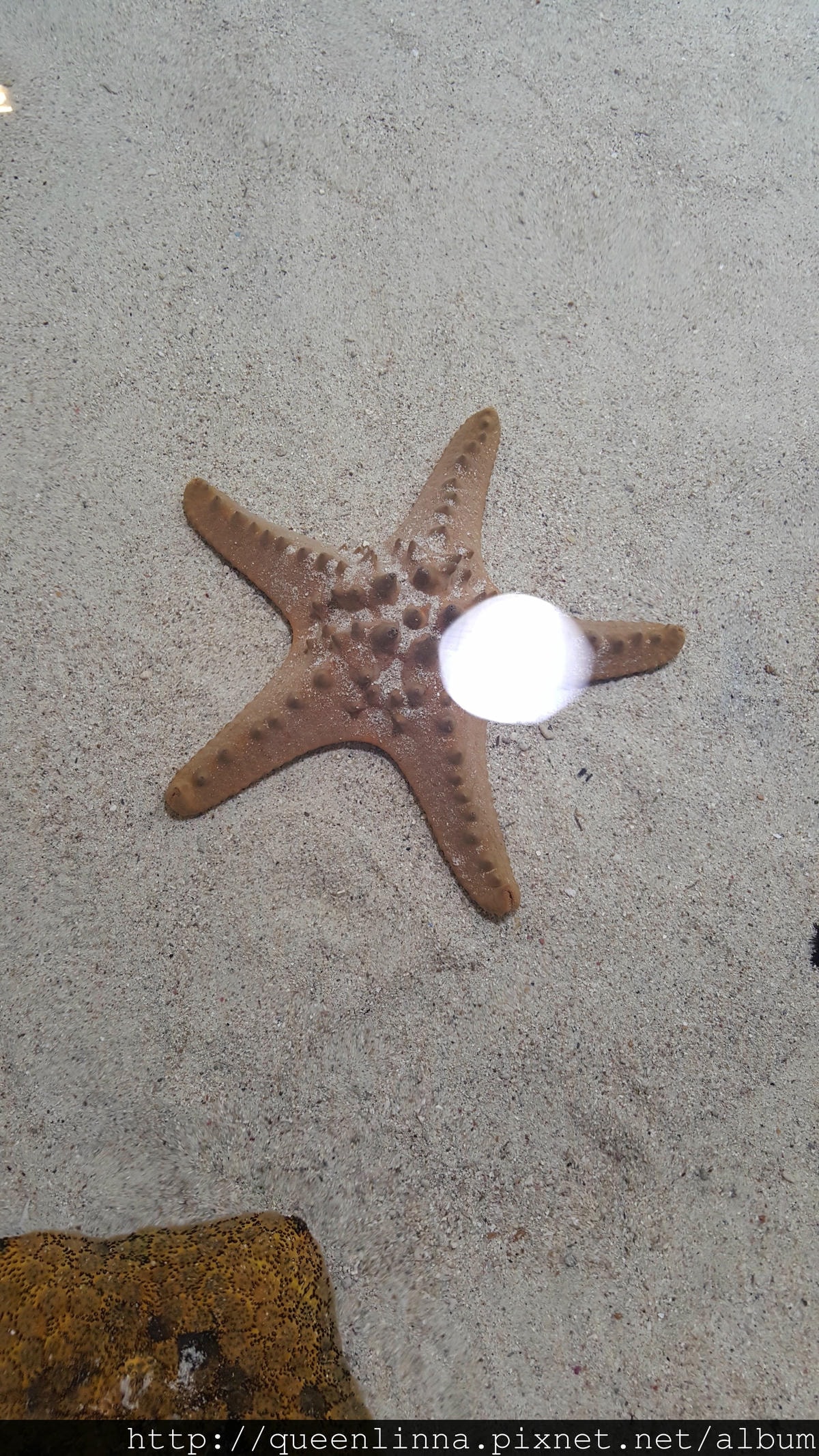 20150918_123752.jpg 20150918_123752.jpg