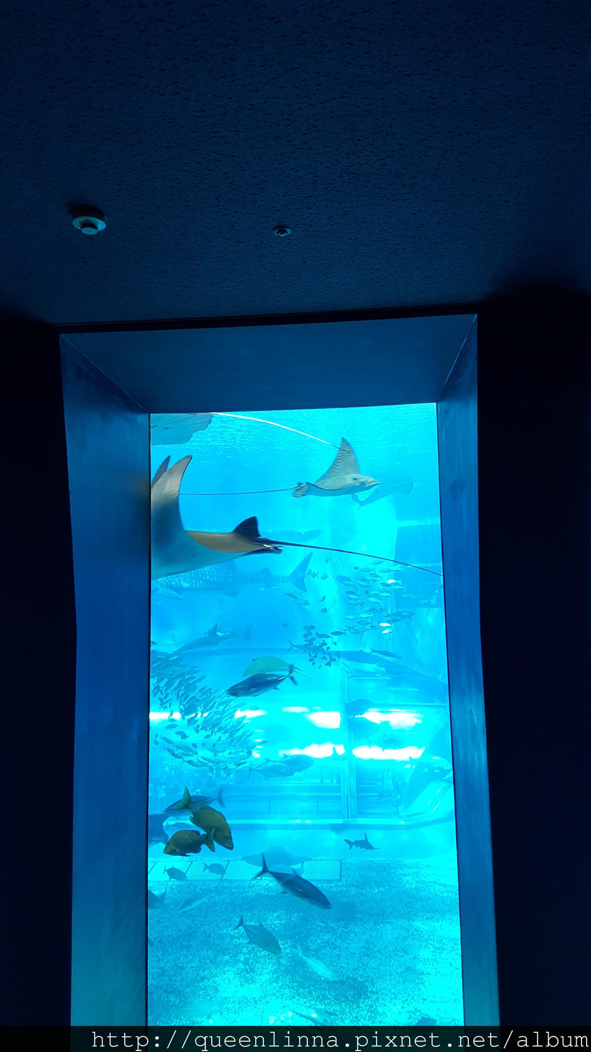 20150918_132101.jpg 20150918_132101.jpg