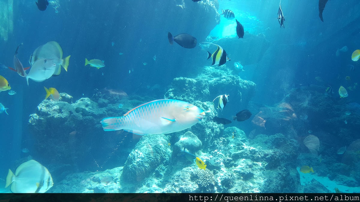 20150918_124238.jpg 20150918_124238.jpg