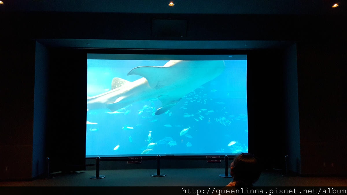 20150918_131940.jpg 20150918_131940.jpg