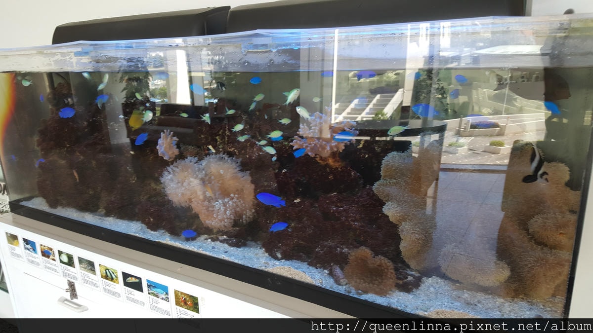 20150919_105831.jpg 20150919_105831.jpg