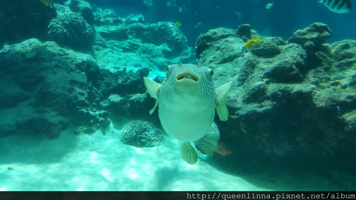 20150918_124356.jpg 20150918_124356.jpg