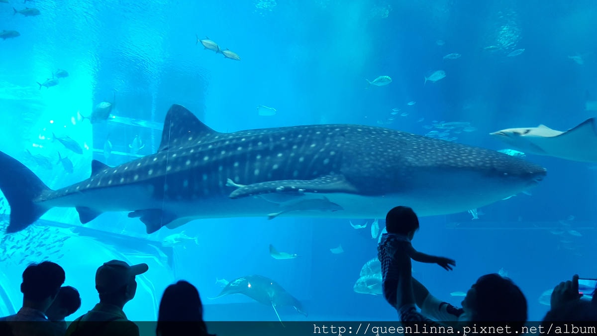 20150918_132411.jpg 20150918_132411.jpg