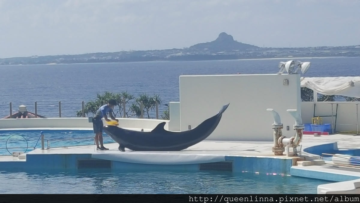 20150918_143327.jpg 20150918_143327.jpg