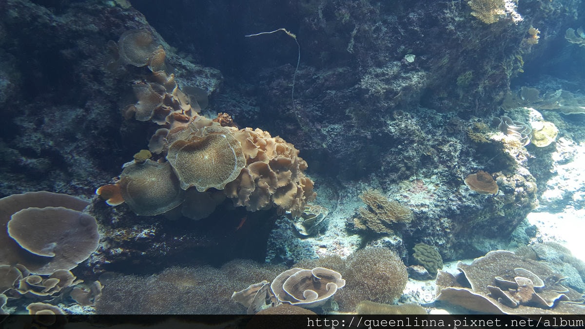 20150918_124016.jpg 20150918_124016.jpg