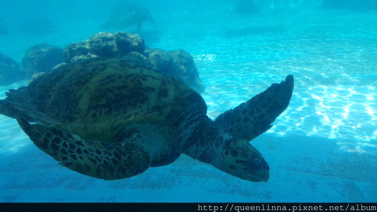 20150918_141115.jpg 20150918_141115.jpg