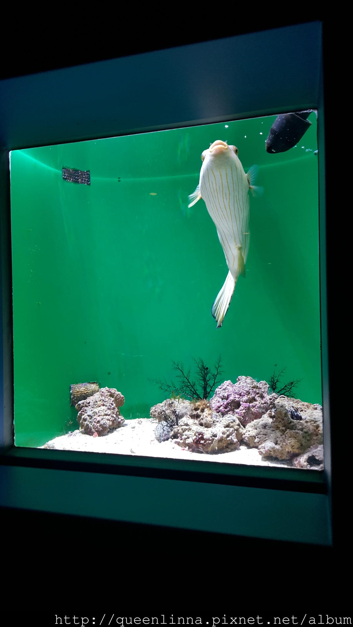 20150918_125140.jpg 20150918_125140.jpg