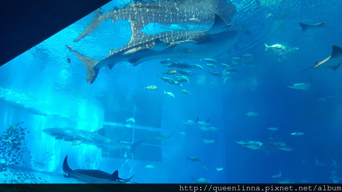 20150918_132324.jpg 20150918_132324.jpg