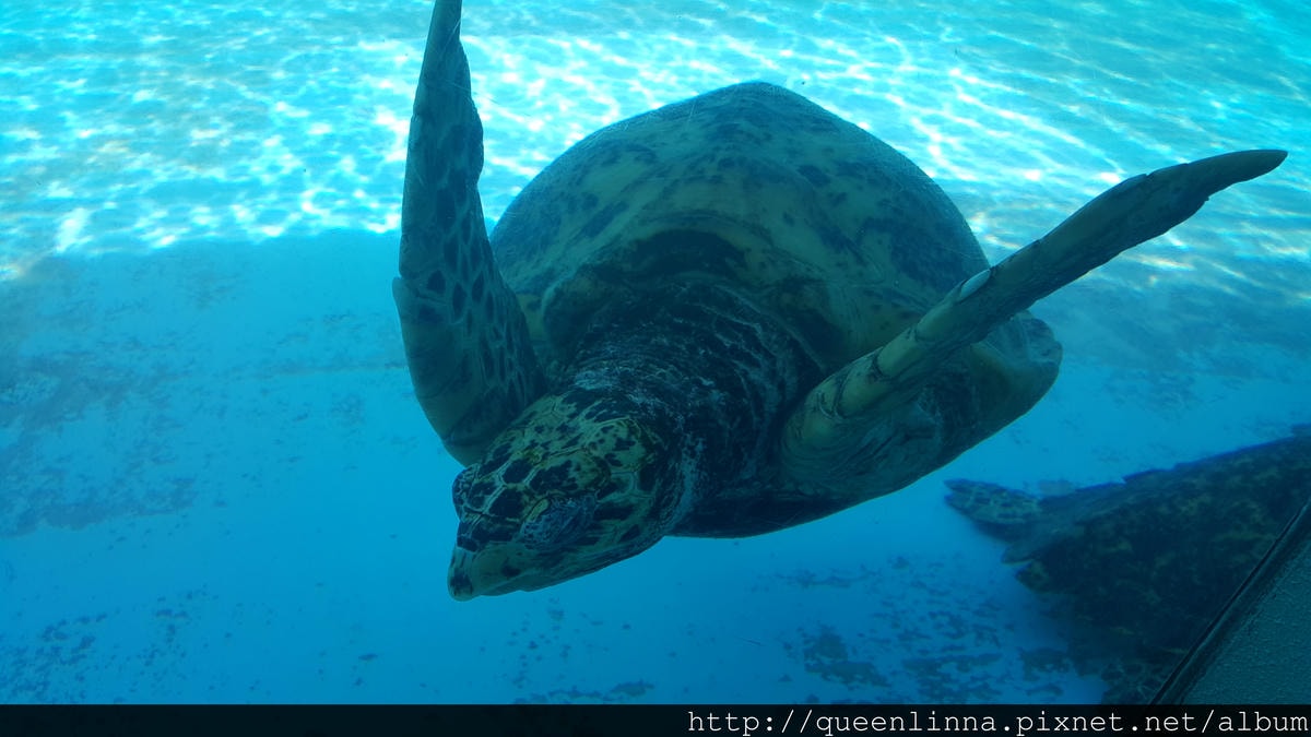 20150918_141126.jpg 20150918_141126.jpg