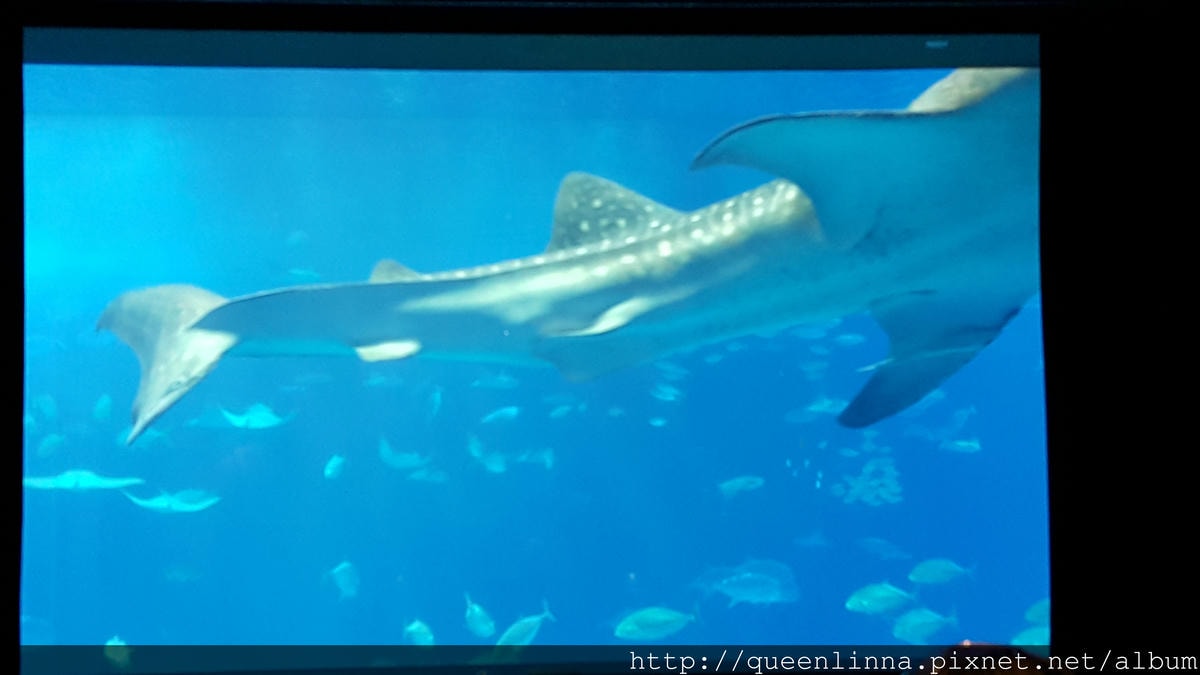 20150918_131945.jpg 20150918_131945.jpg