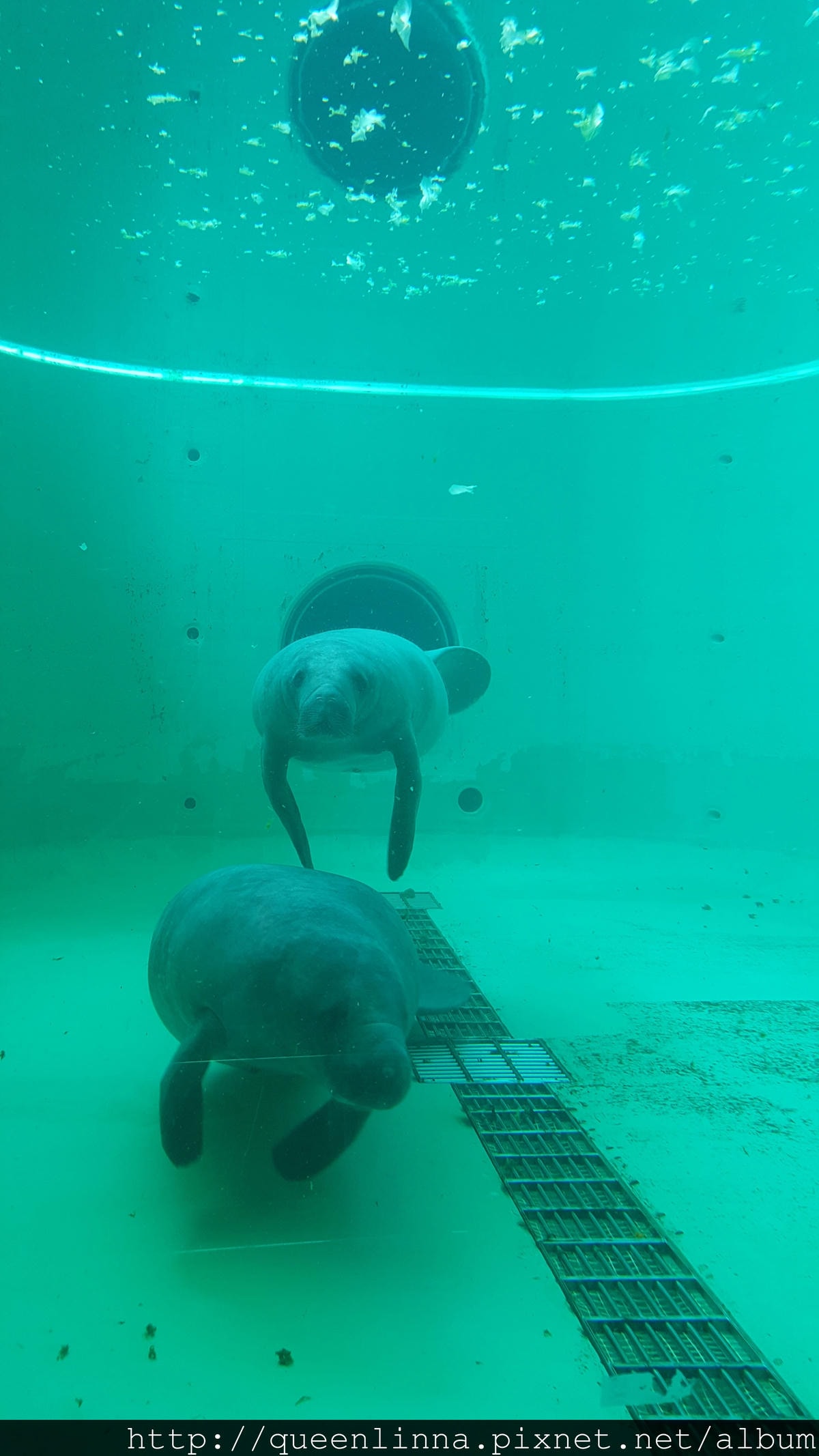 20150918_140558.jpg 20150918_140558.jpg