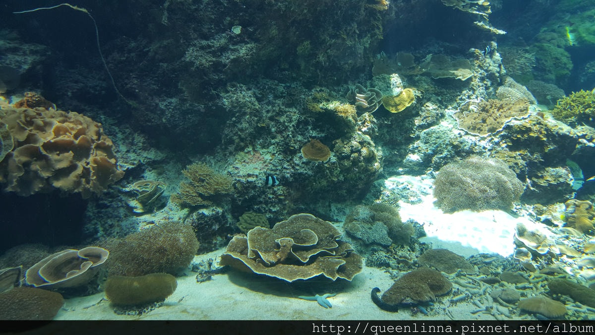 20150918_124008.jpg 20150918_124008.jpg