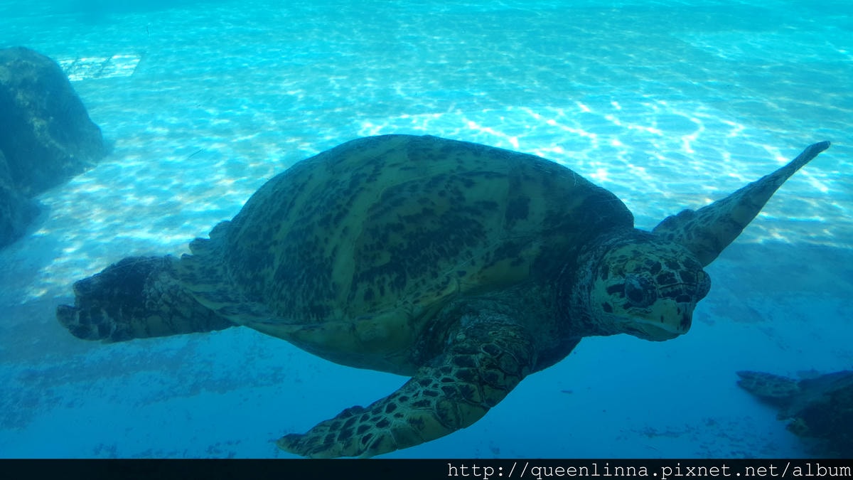 20150918_141120.jpg 20150918_141120.jpg