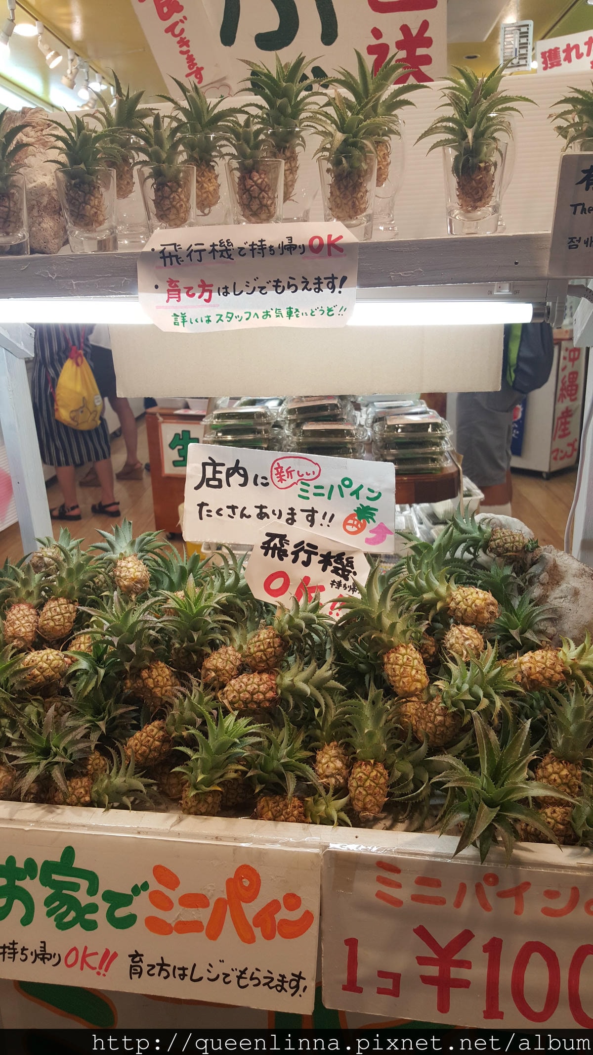 20150917_203055.jpg 20150917_203055.jpg