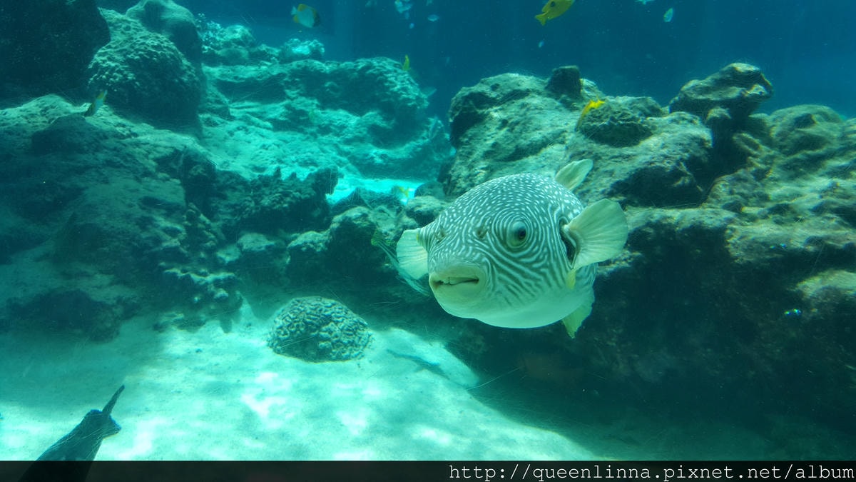 20150918_124354.jpg 20150918_124354.jpg