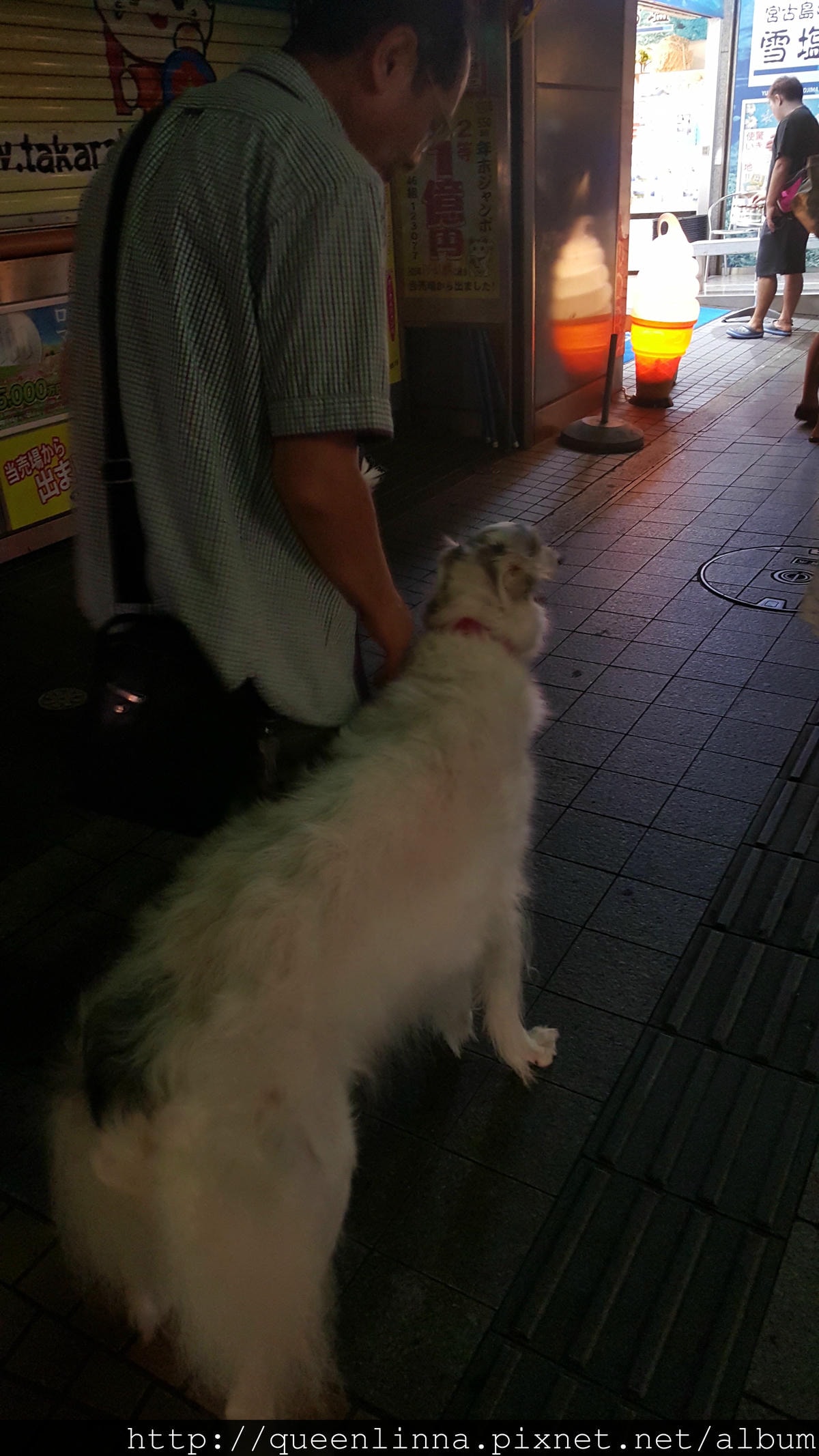 20150919_195953.jpg 20150919_195953.jpg