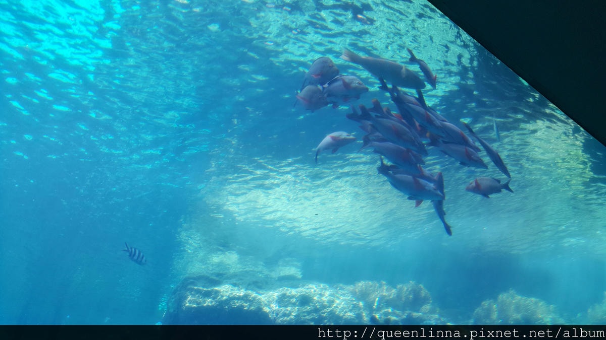 20150918_124152.jpg 20150918_124152.jpg