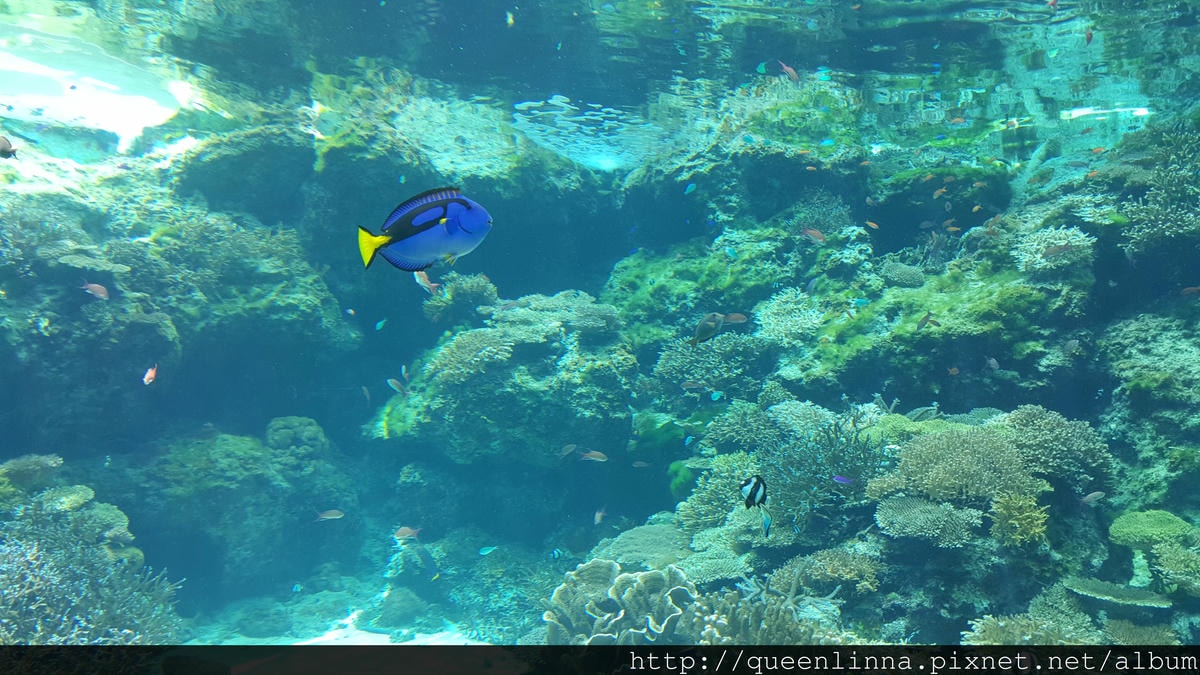 20150918_123951.jpg 20150918_123951.jpg