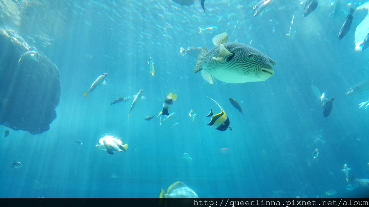 20150918_124403.jpg 20150918_124403.jpg