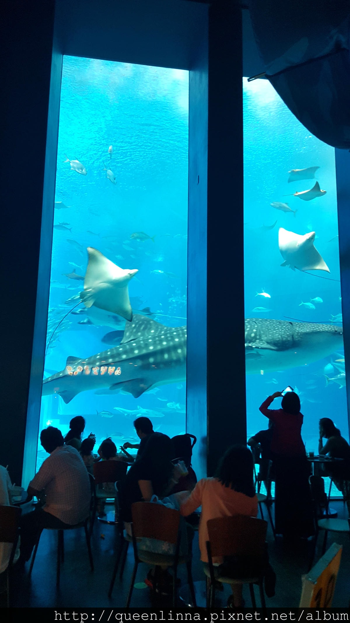 20150918_133001.jpg 20150918_133001.jpg