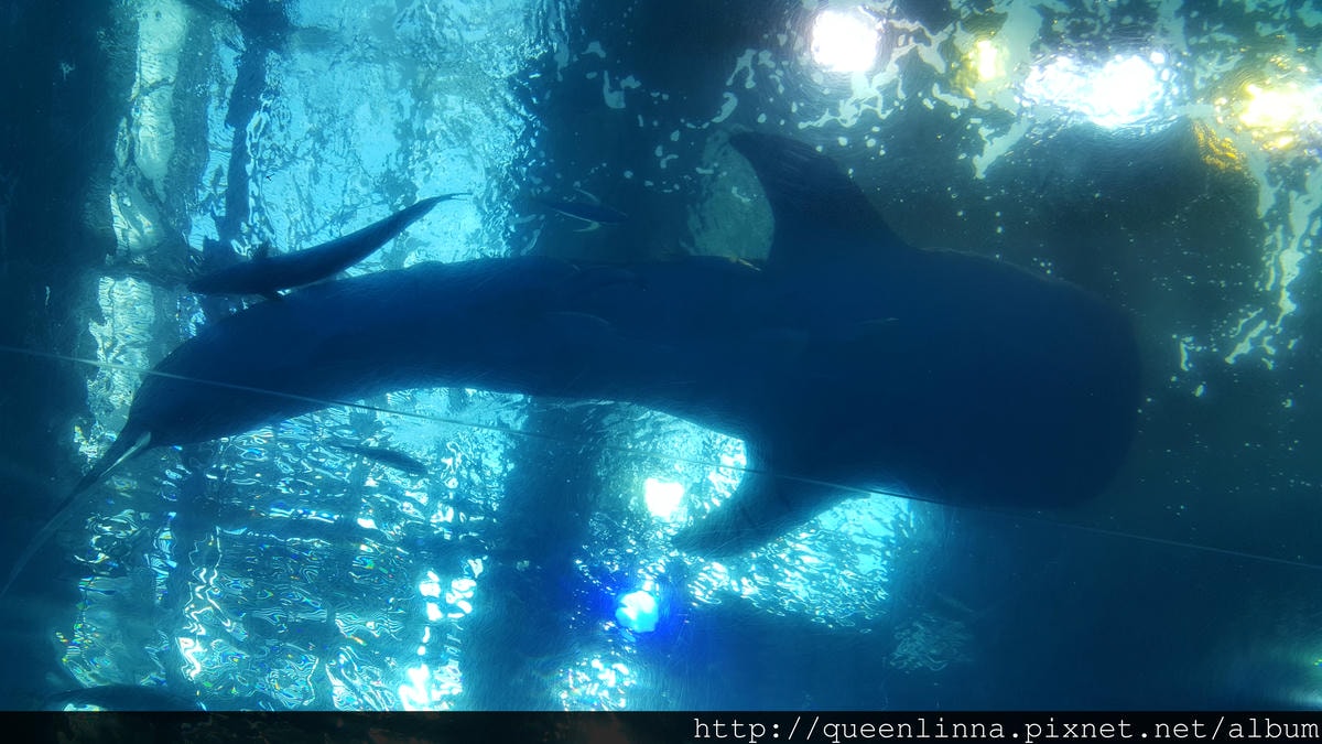 20150918_135314.jpg 20150918_135314.jpg