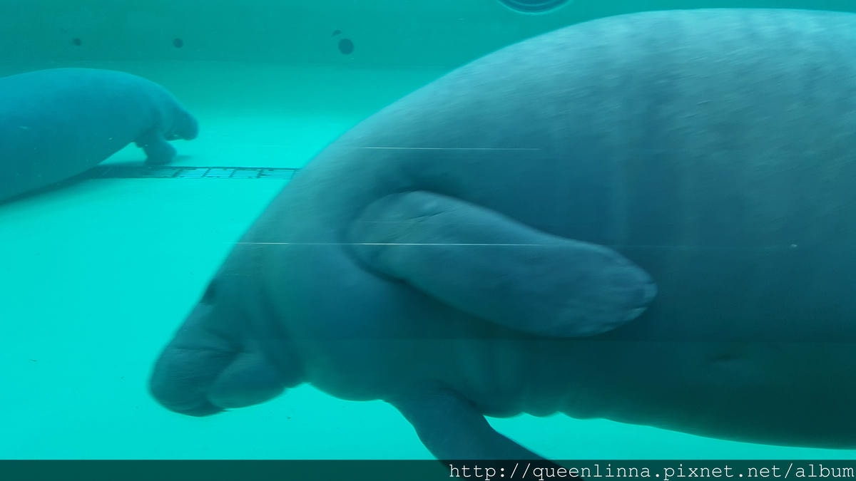 20150918_140422.jpg 20150918_140422.jpg