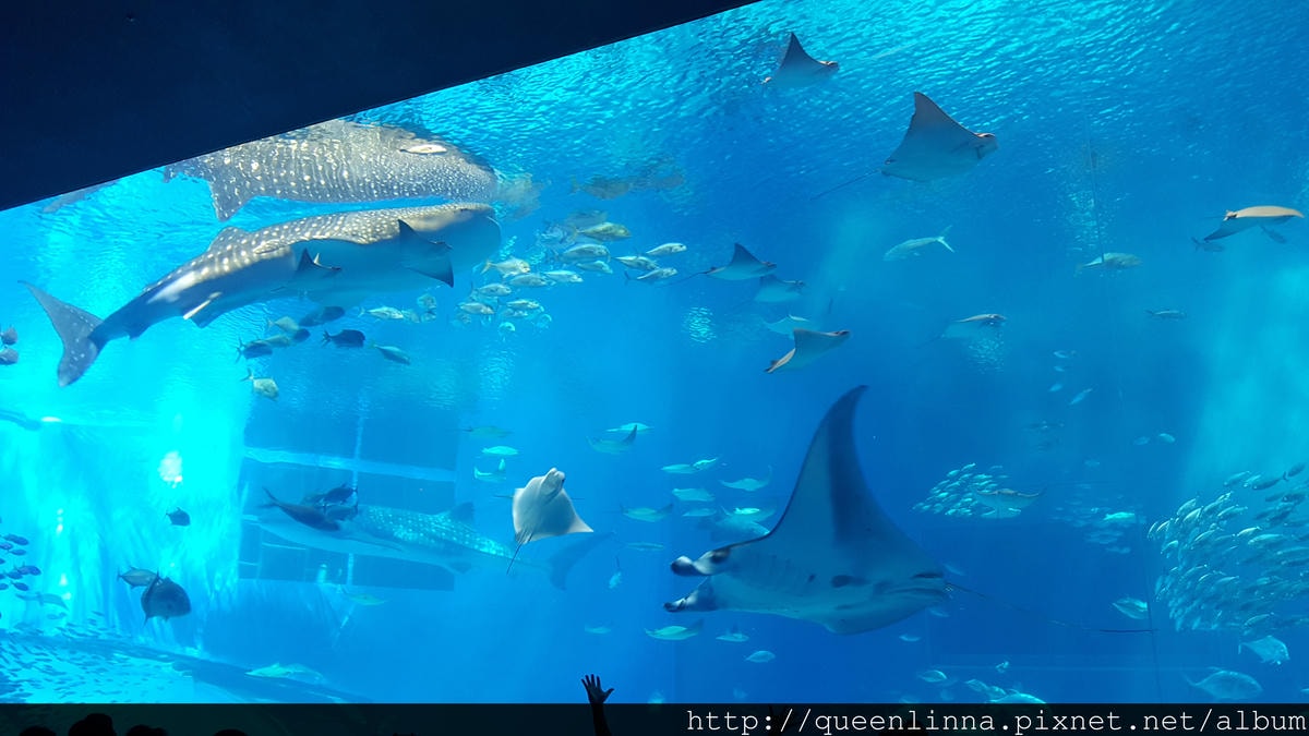 20150918_132317.jpg 20150918_132317.jpg