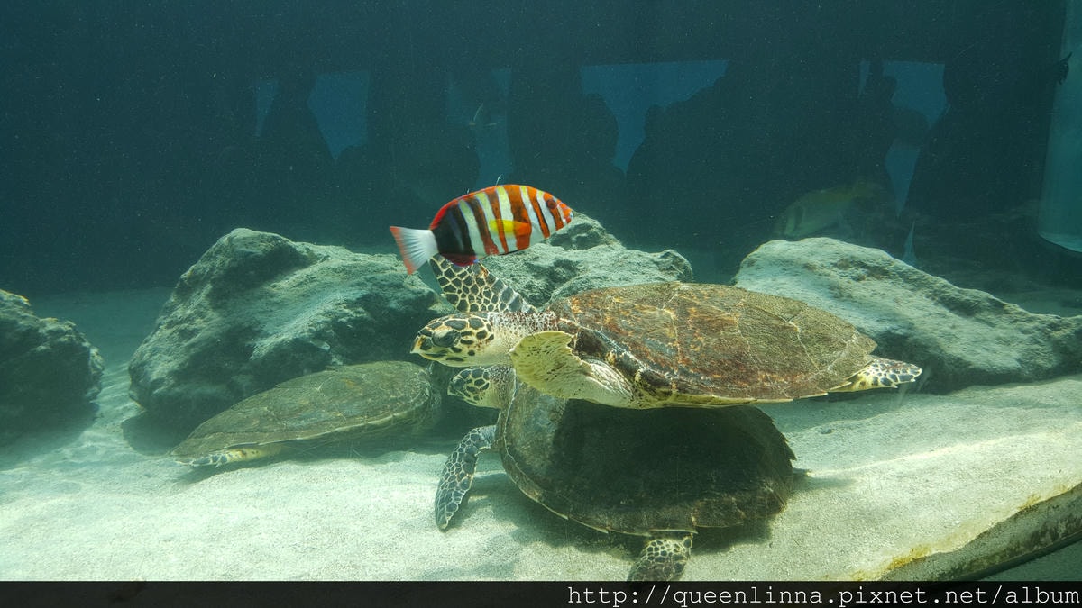 20150918_141200.jpg 20150918_141200.jpg