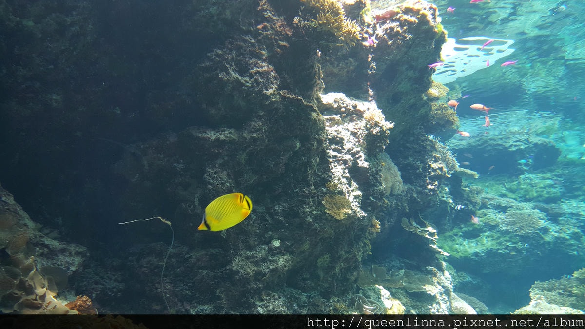 20150918_124025.jpg 20150918_124025.jpg