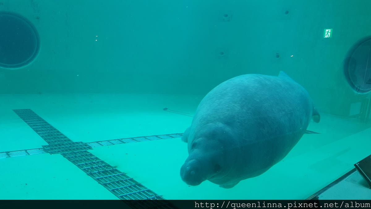 20150918_140418.jpg 20150918_140418.jpg