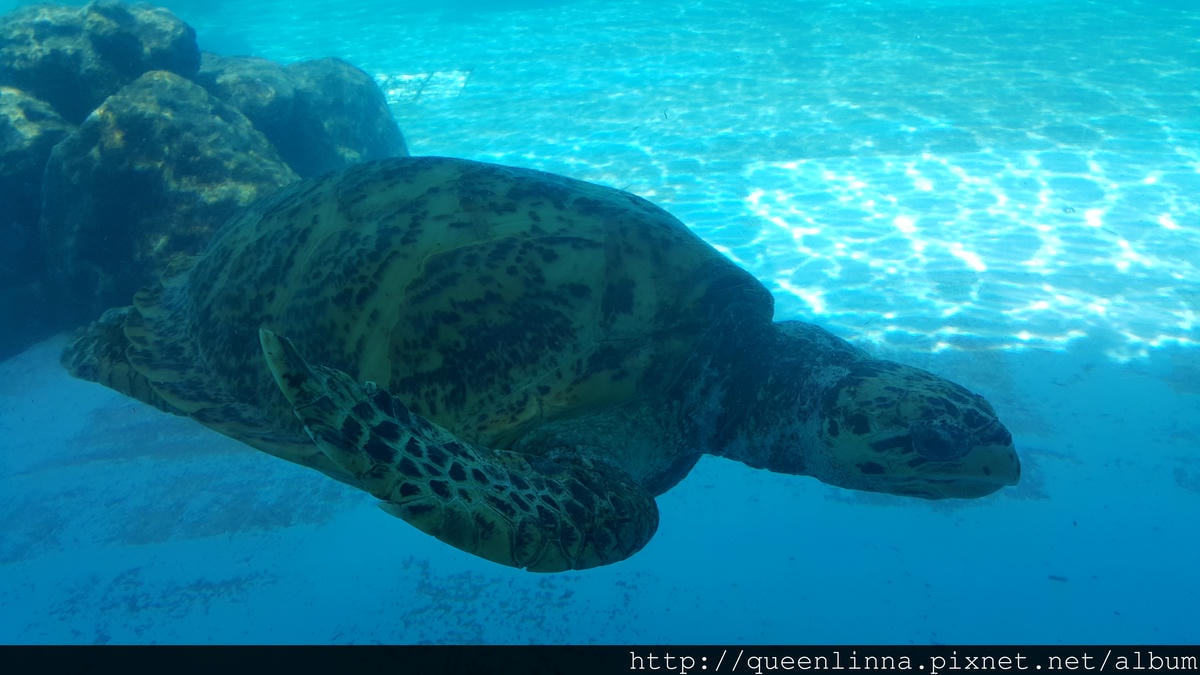 20150918_141118.jpg 20150918_141118.jpg