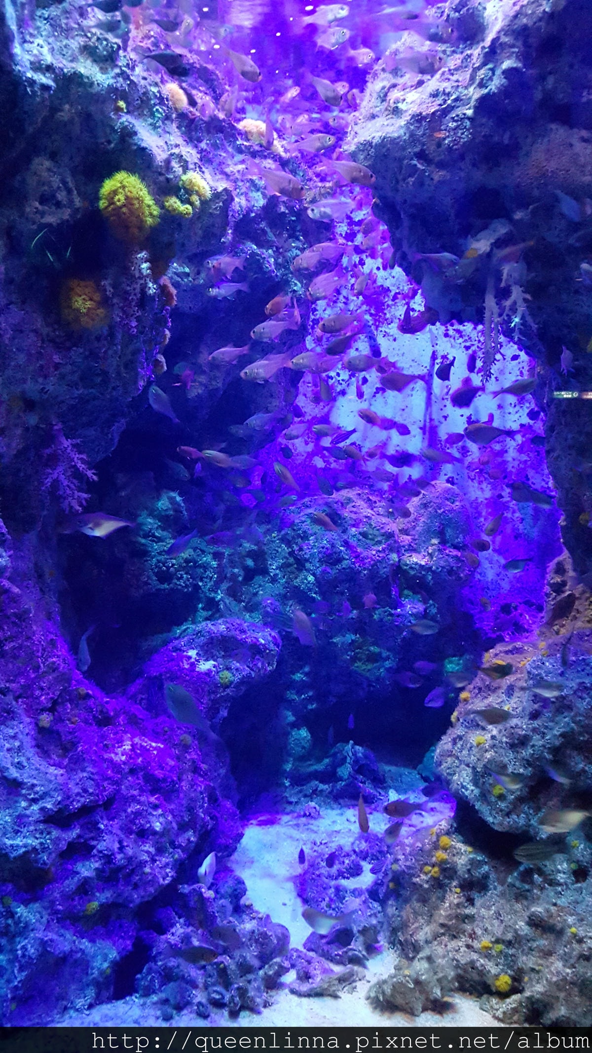 20150918_124841.jpg 20150918_124841.jpg