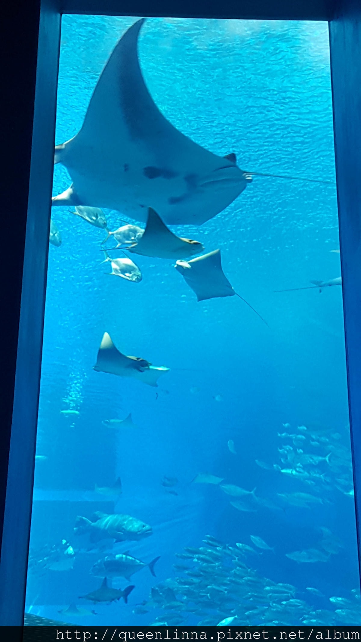 20150918_132950.jpg 20150918_132950.jpg