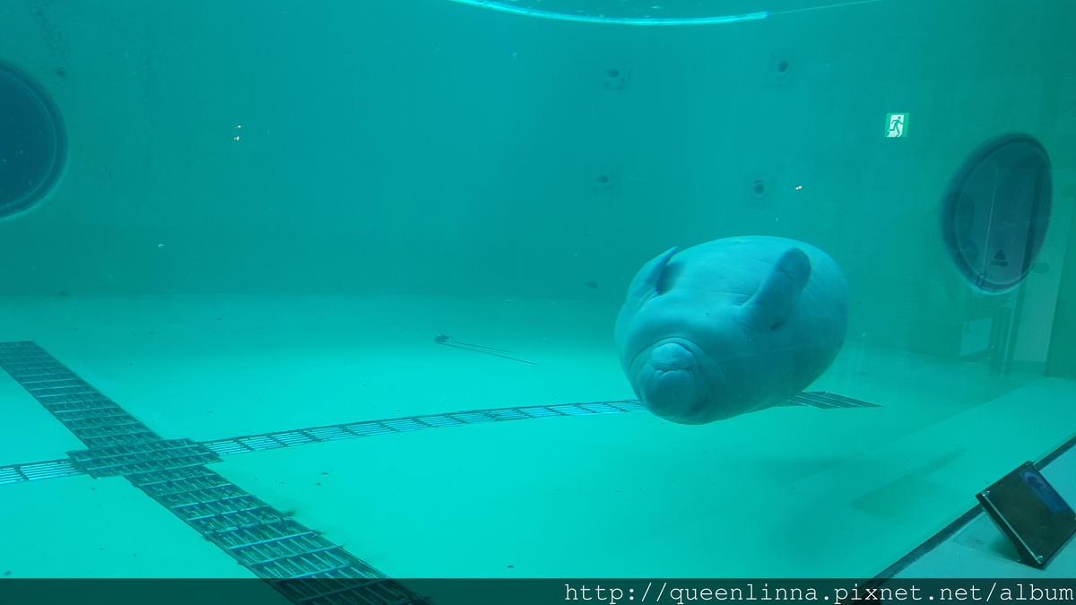 20150918_140416.jpg 20150918_140416.jpg