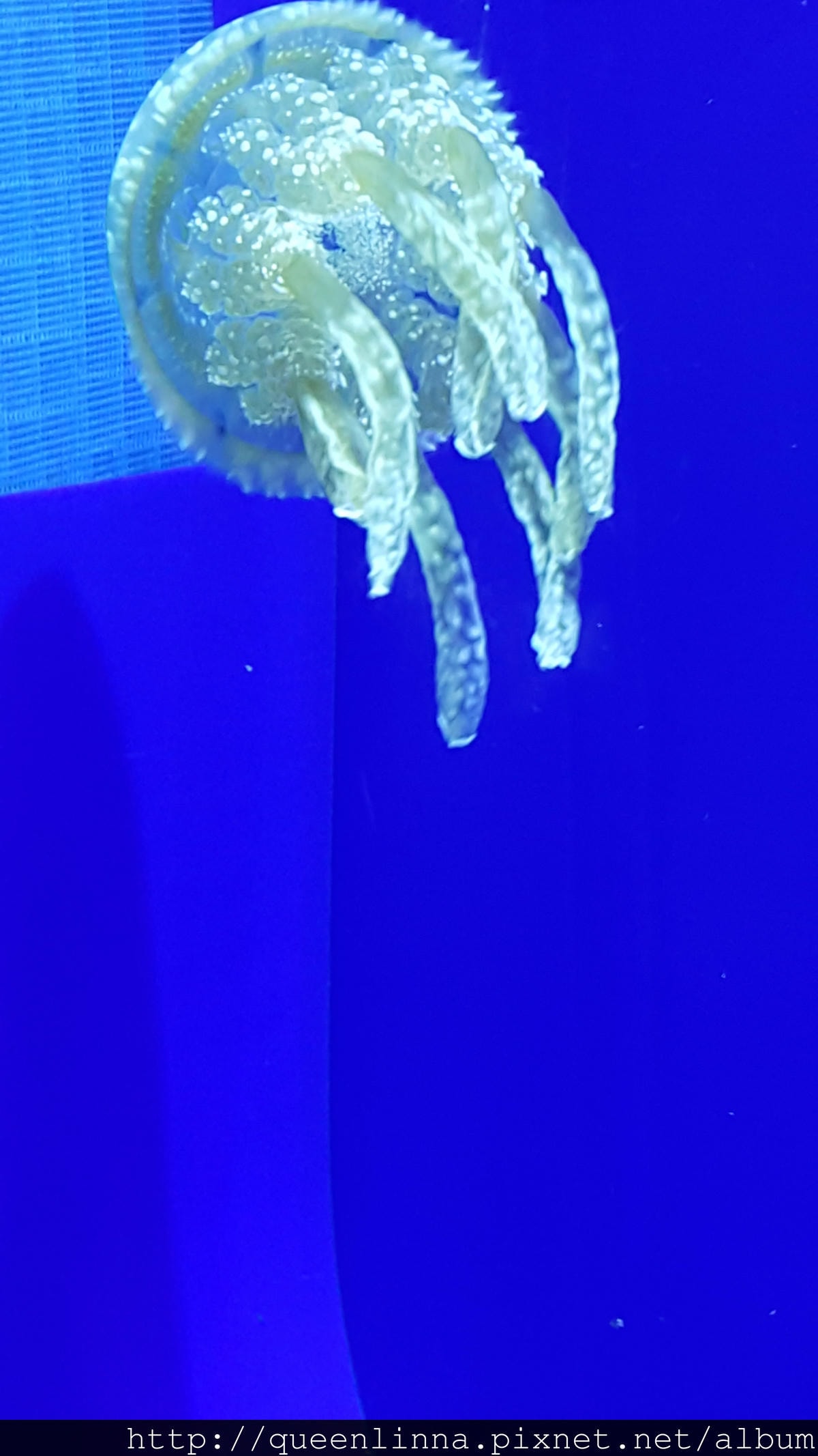 20150918_125354.jpg 20150918_125354.jpg