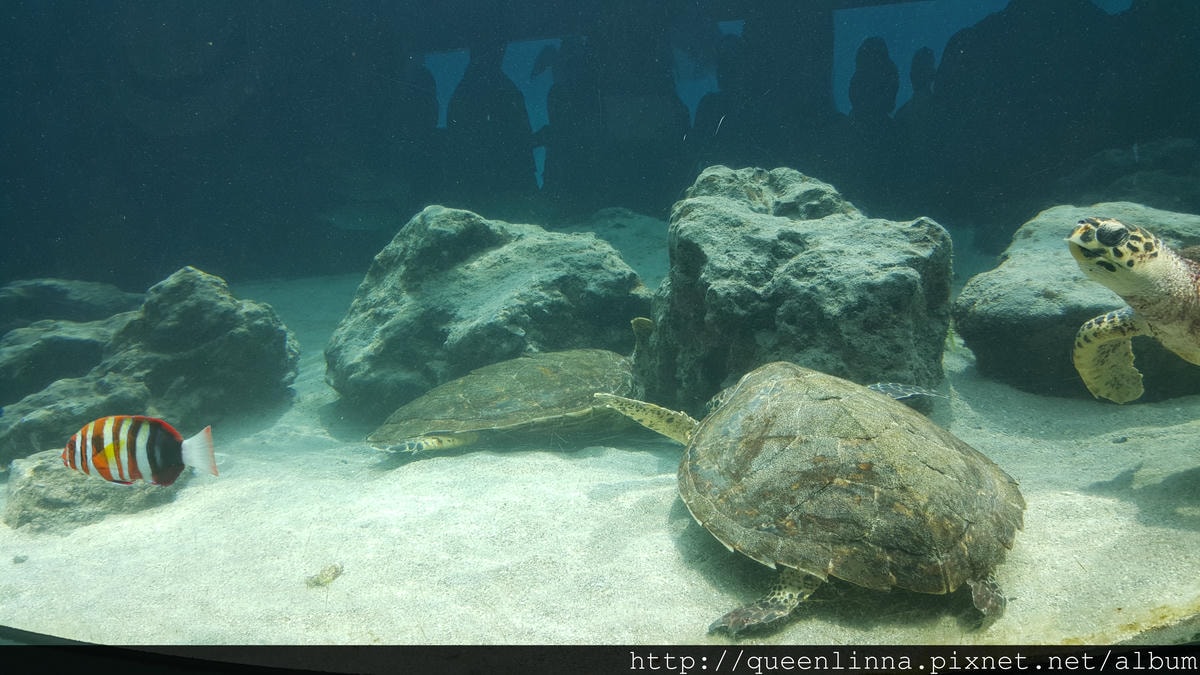 20150918_141156.jpg 20150918_141156.jpg