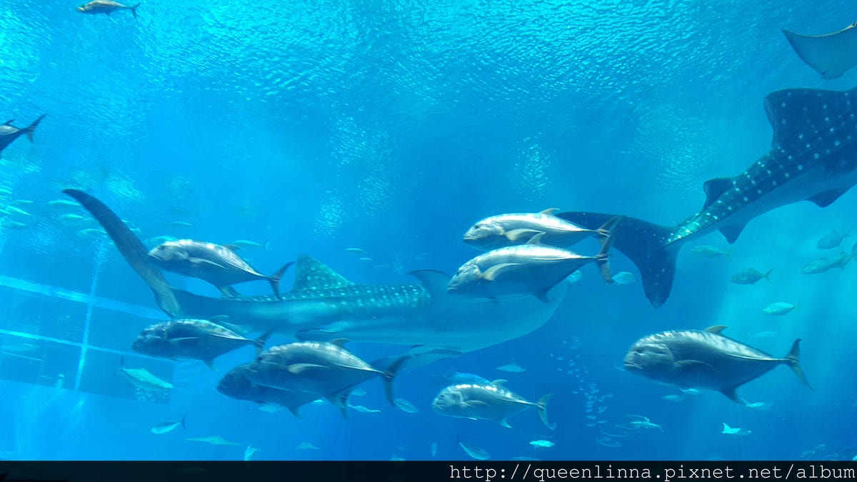 20150918_132345.jpg 20150918_132345.jpg