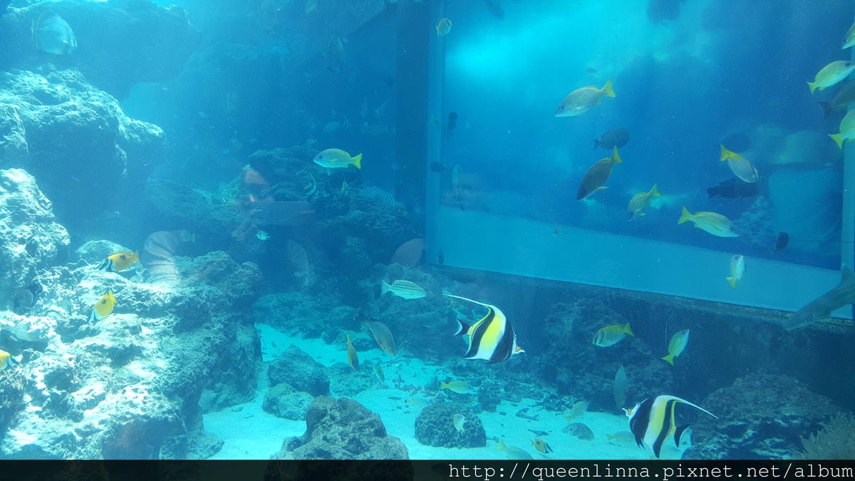 20150918_124253.jpg 20150918_124253.jpg