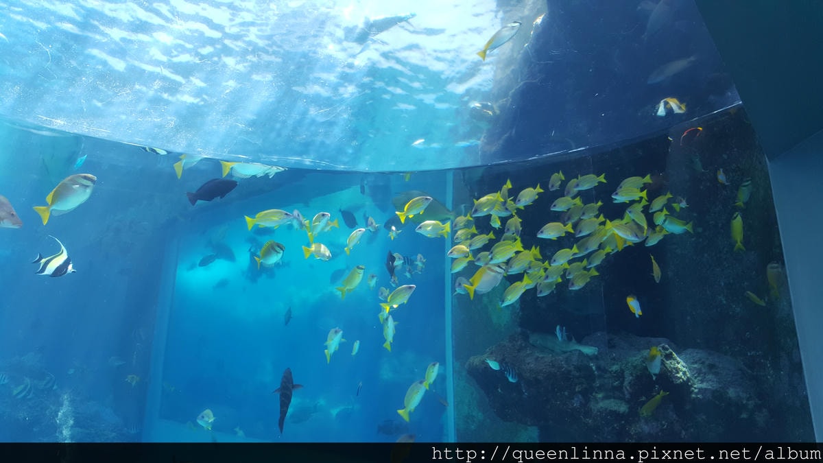 20150918_124231.jpg 20150918_124231.jpg