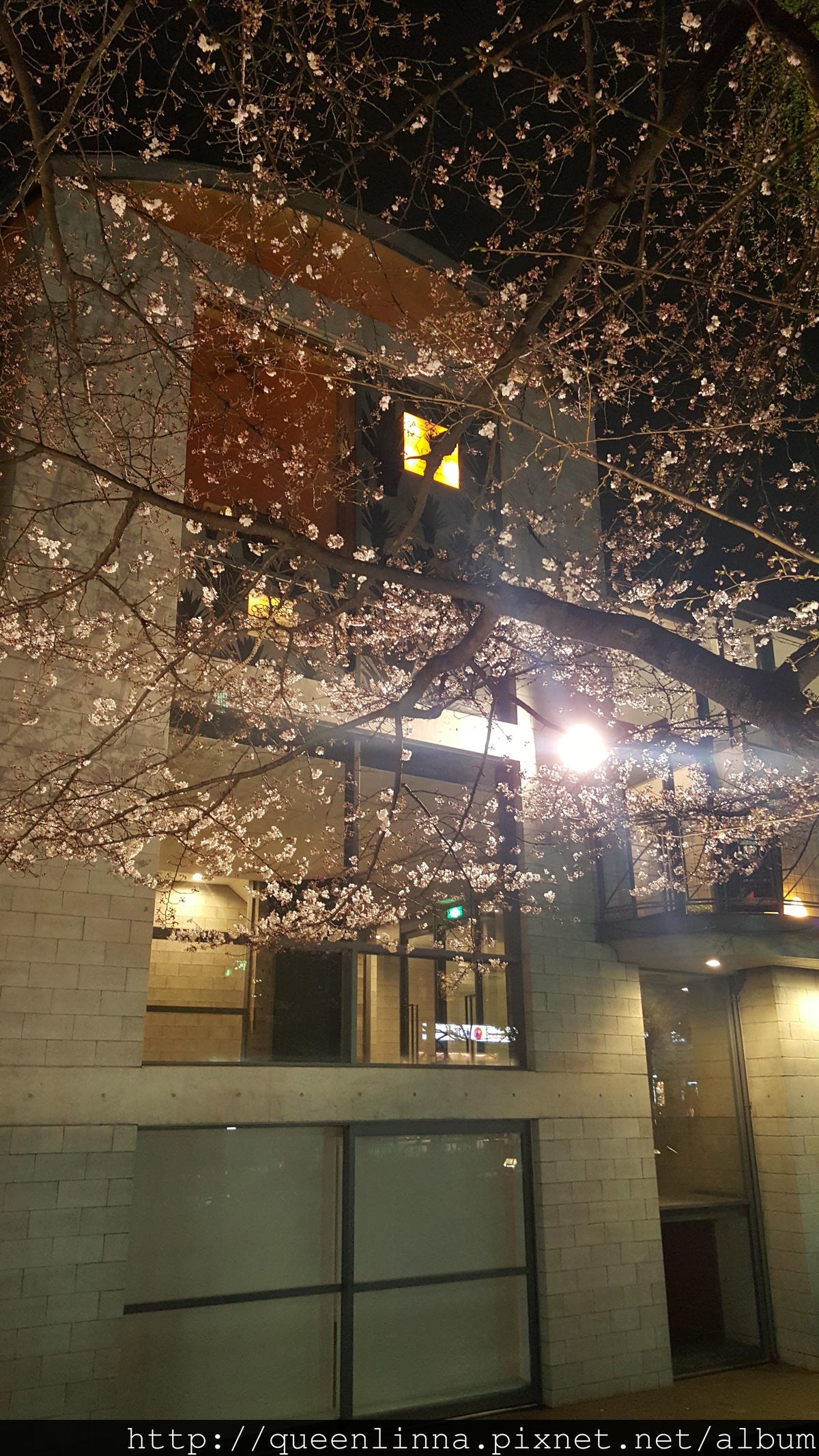 20160329_205945.jpg 20160329_205945.jpg