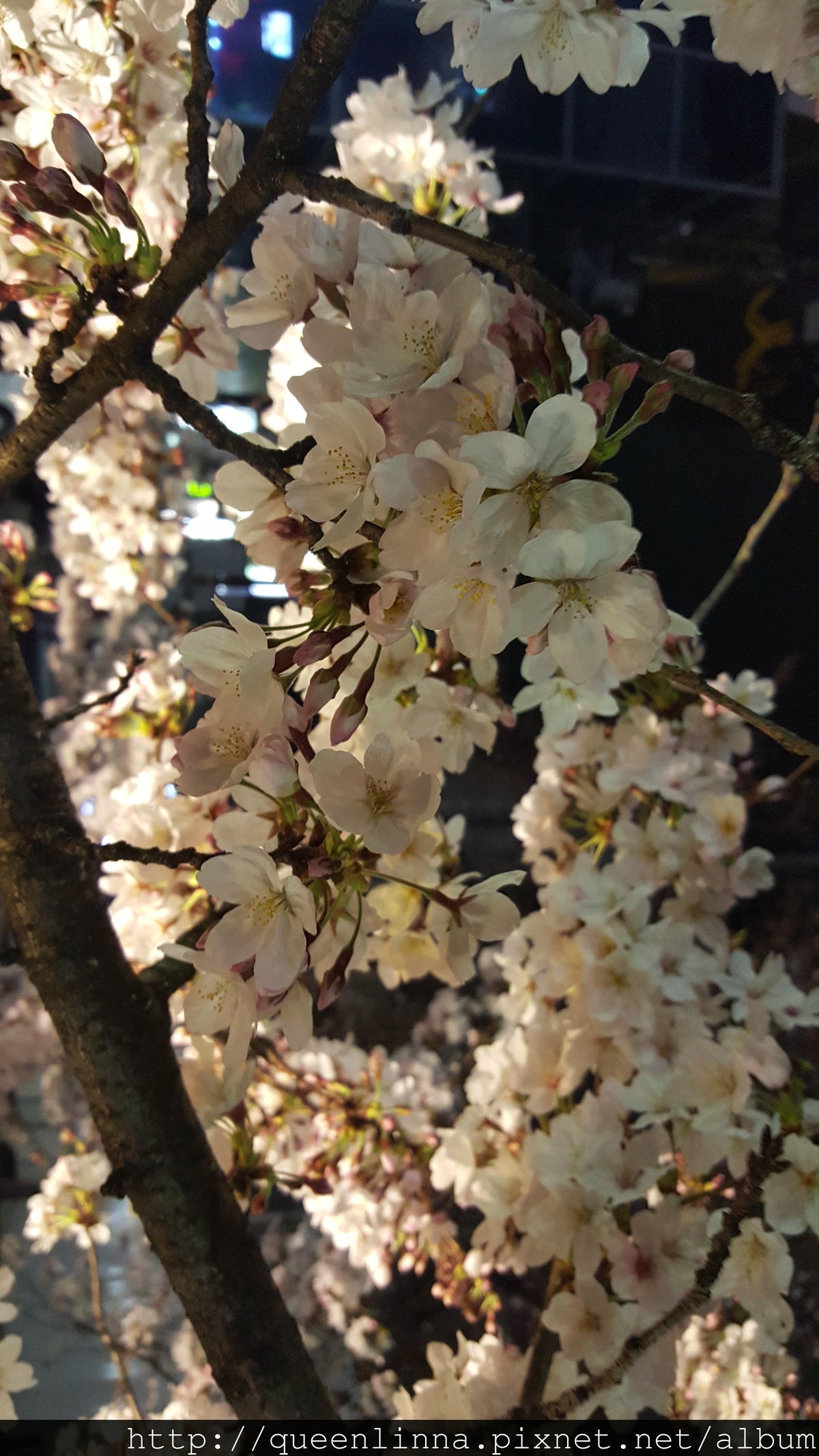 20160329_210656.jpg 20160329_210656.jpg