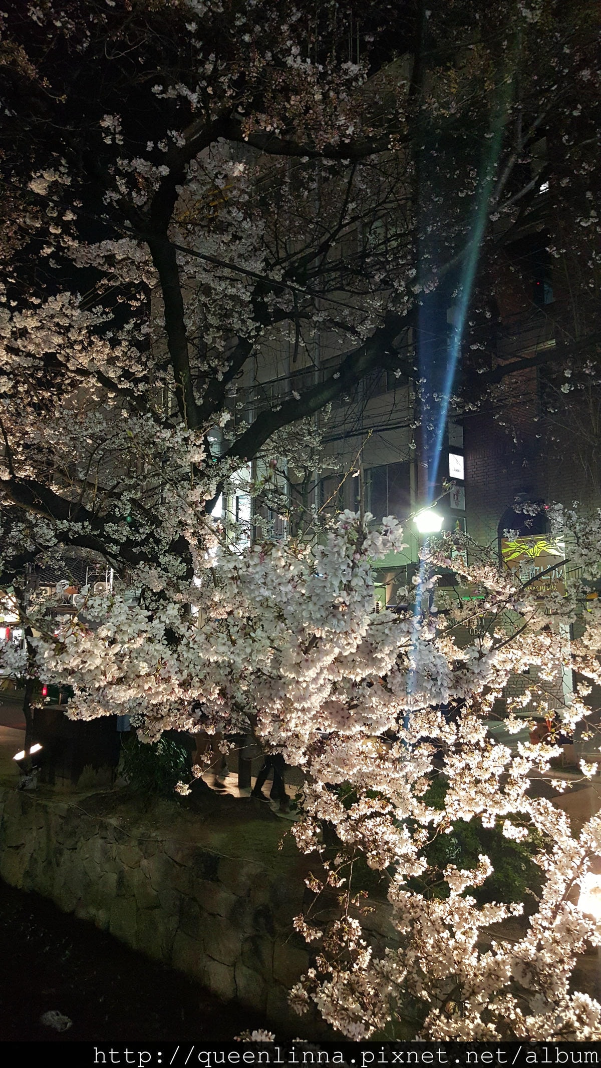 20160329_205720.jpg 20160329_205720.jpg