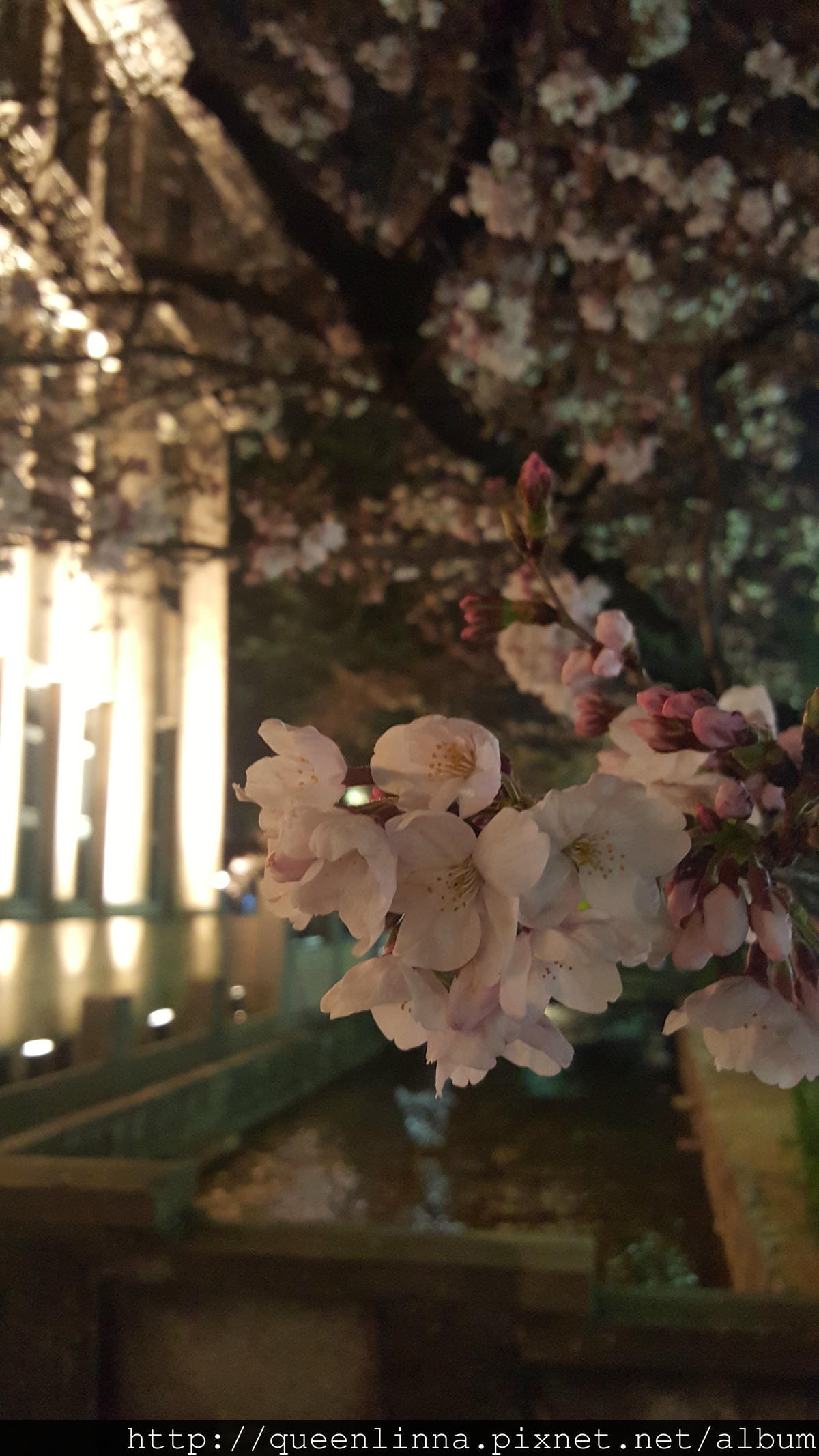 20160329_204816.jpg 20160329_204816.jpg