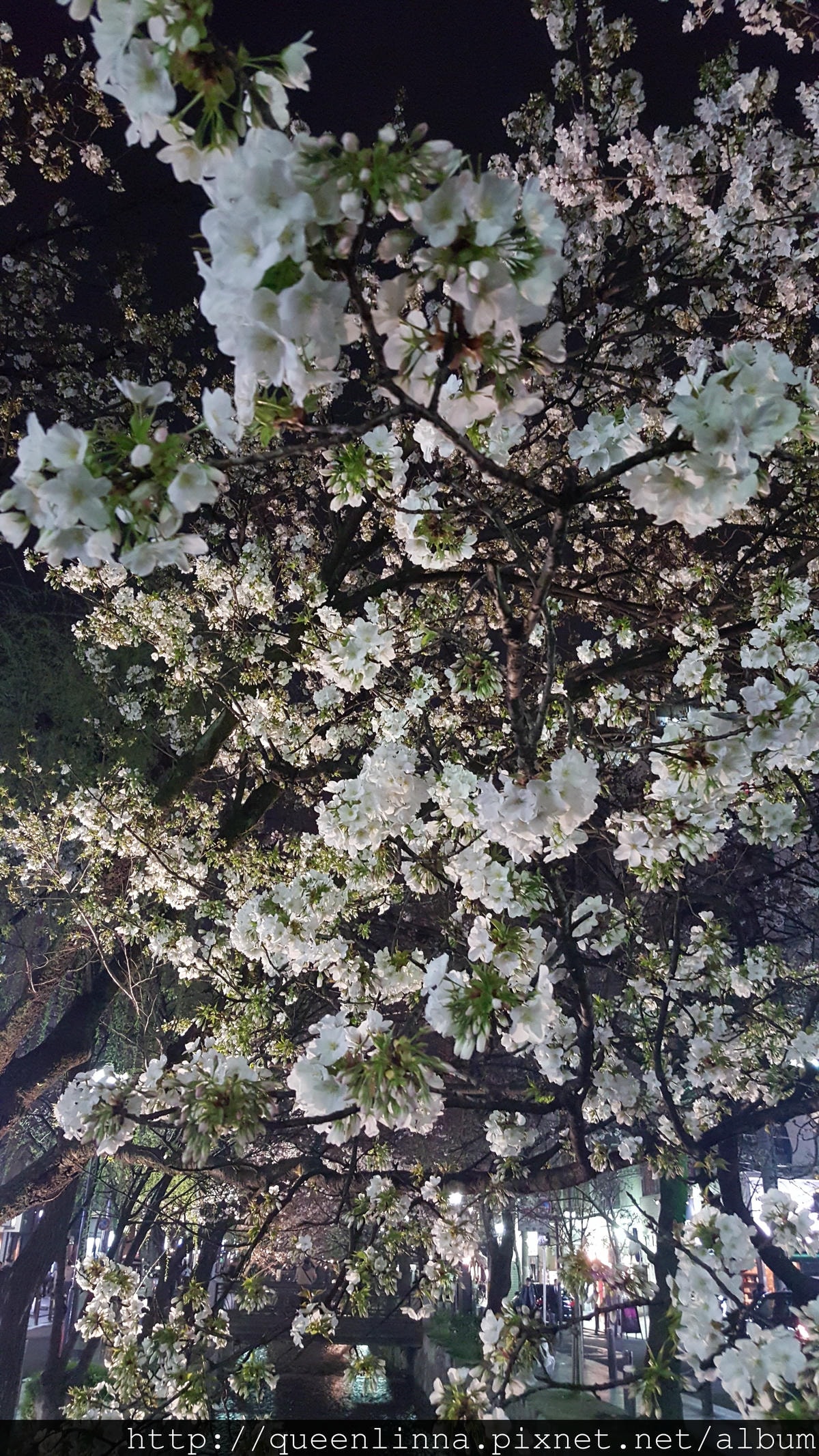 20160329_205440.jpg 20160329_205440.jpg