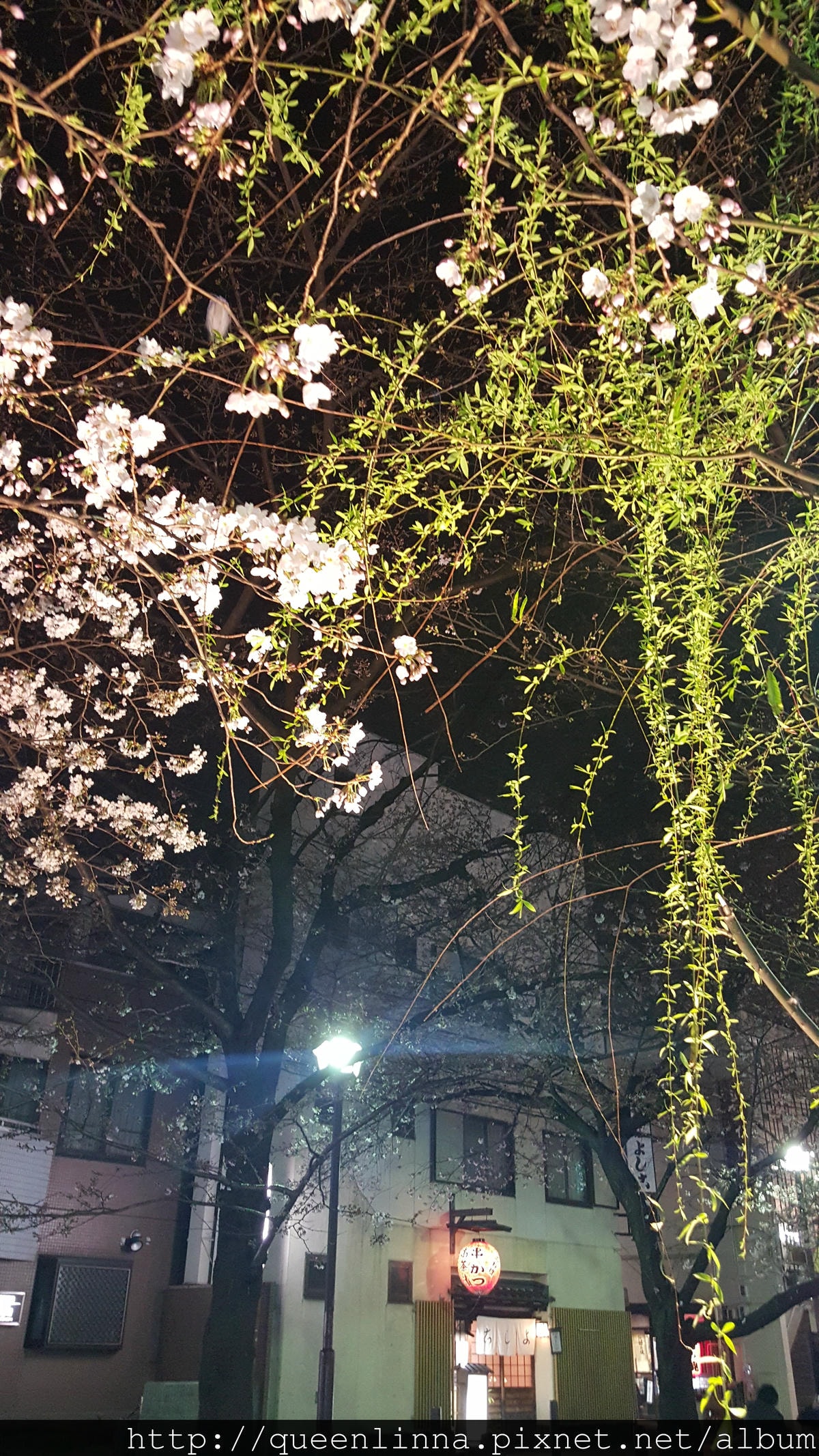 20160329_205358.jpg 20160329_205358.jpg