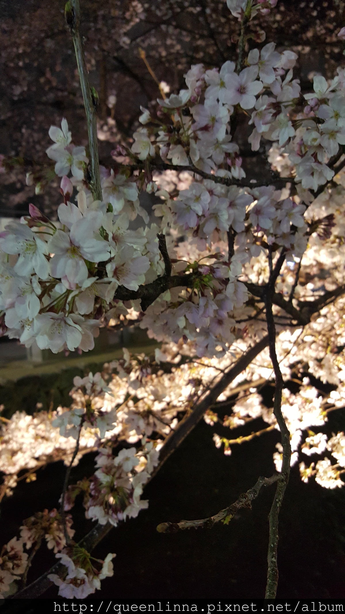 20160329_210630.jpg 20160329_210630.jpg