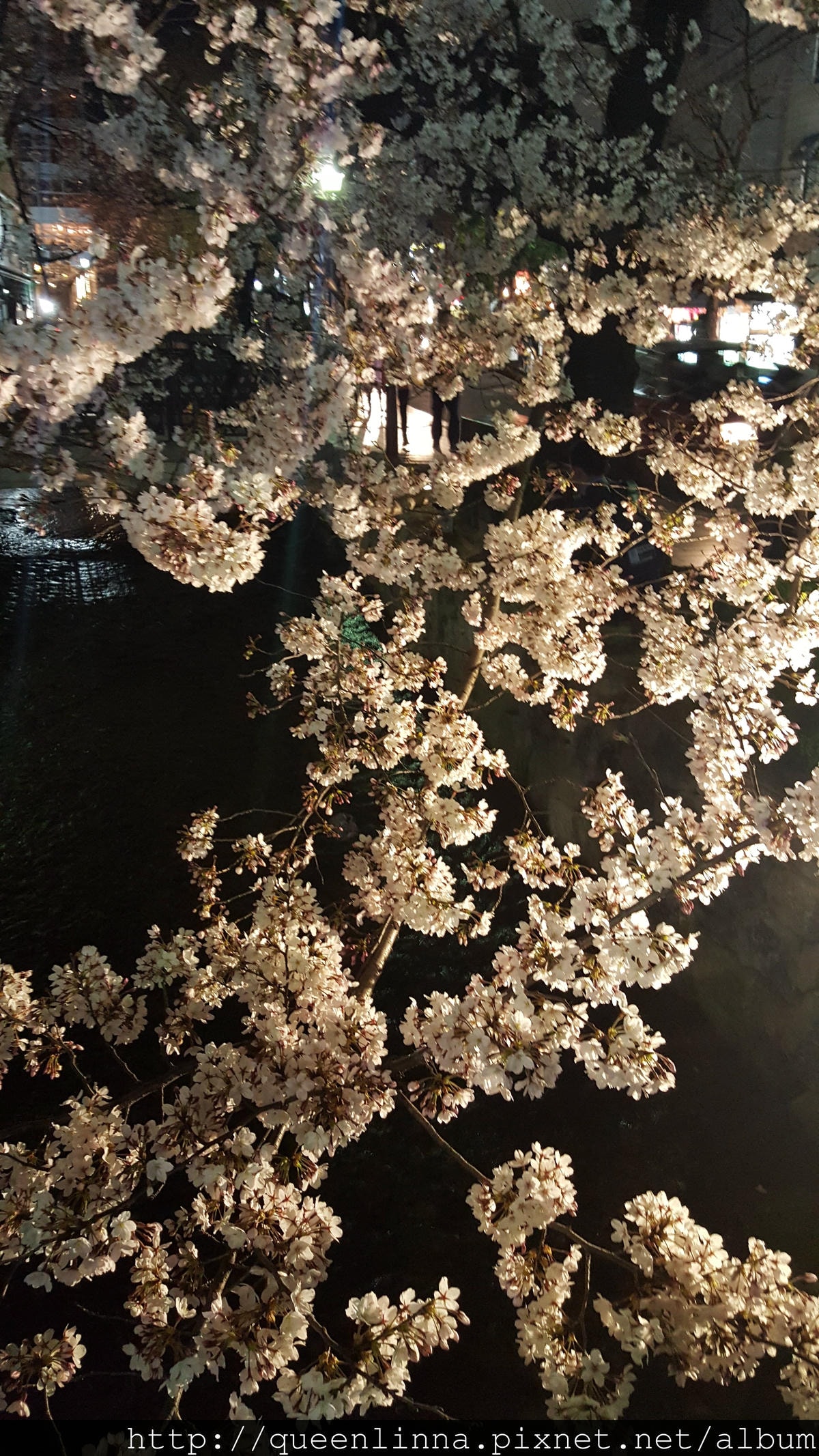 20160329_205623.jpg 20160329_205623.jpg